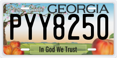 GA license plate PYY8250