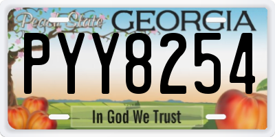 GA license plate PYY8254