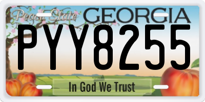 GA license plate PYY8255