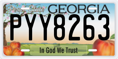 GA license plate PYY8263