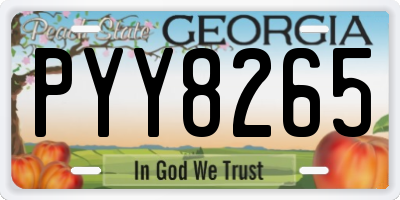 GA license plate PYY8265