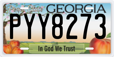 GA license plate PYY8273