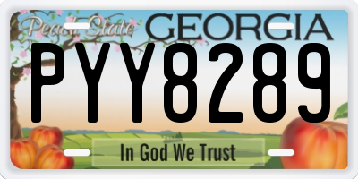 GA license plate PYY8289