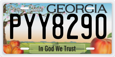 GA license plate PYY8290