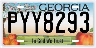 GA license plate PYY8293