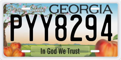 GA license plate PYY8294