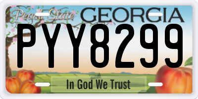 GA license plate PYY8299