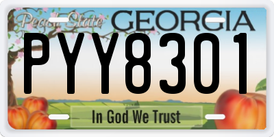 GA license plate PYY8301