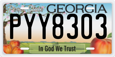 GA license plate PYY8303
