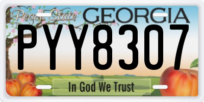 GA license plate PYY8307