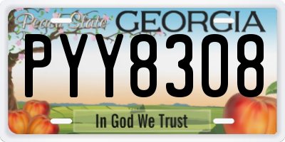GA license plate PYY8308
