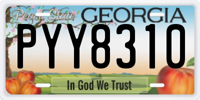 GA license plate PYY8310
