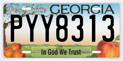 GA license plate PYY8313