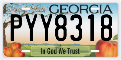 GA license plate PYY8318