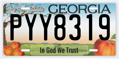 GA license plate PYY8319