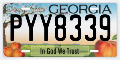 GA license plate PYY8339