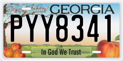 GA license plate PYY8341