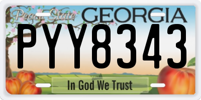 GA license plate PYY8343