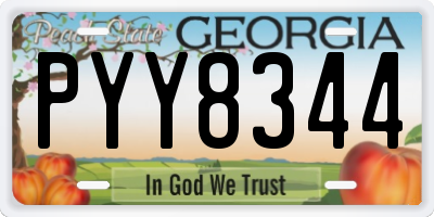GA license plate PYY8344