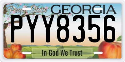 GA license plate PYY8356