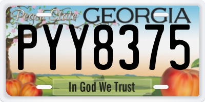 GA license plate PYY8375
