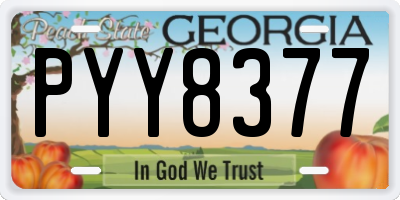 GA license plate PYY8377