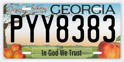 GA license plate PYY8383