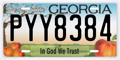GA license plate PYY8384