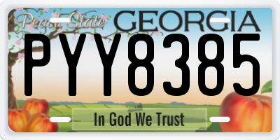 GA license plate PYY8385