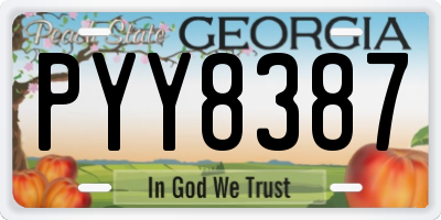 GA license plate PYY8387