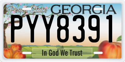 GA license plate PYY8391