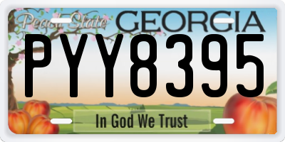 GA license plate PYY8395