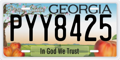 GA license plate PYY8425