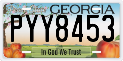GA license plate PYY8453