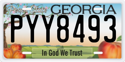 GA license plate PYY8493
