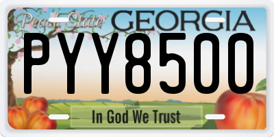 GA license plate PYY8500