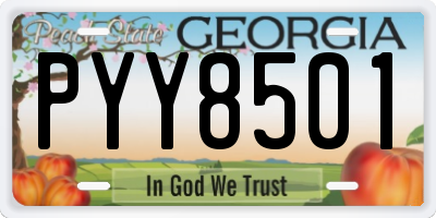 GA license plate PYY8501