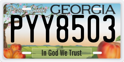 GA license plate PYY8503