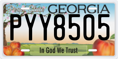GA license plate PYY8505