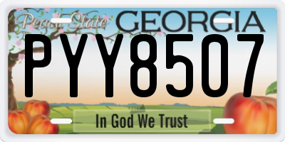 GA license plate PYY8507