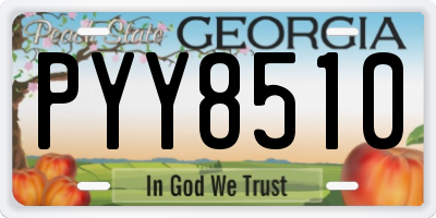 GA license plate PYY8510
