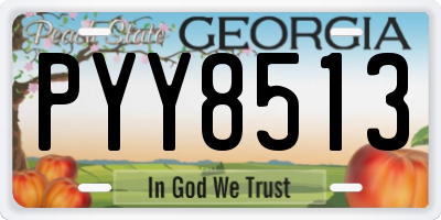 GA license plate PYY8513