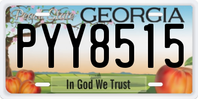 GA license plate PYY8515