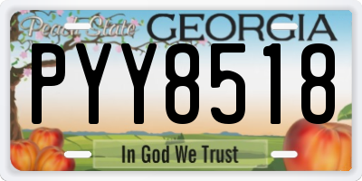 GA license plate PYY8518