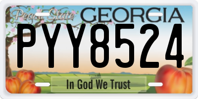GA license plate PYY8524