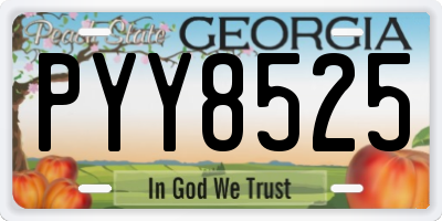 GA license plate PYY8525