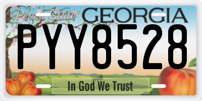 GA license plate PYY8528