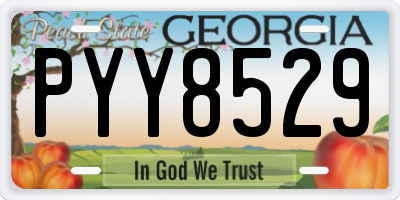 GA license plate PYY8529