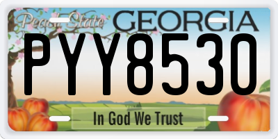 GA license plate PYY8530