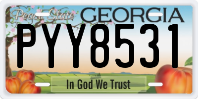 GA license plate PYY8531